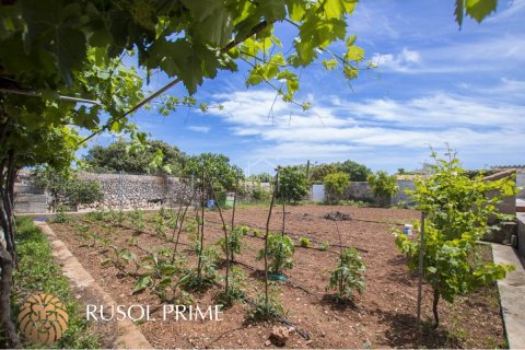 Villa à vendre à Mahon, Menorca, Espagne, 5 chambres, 352 m2 No. 39000 - photo 4