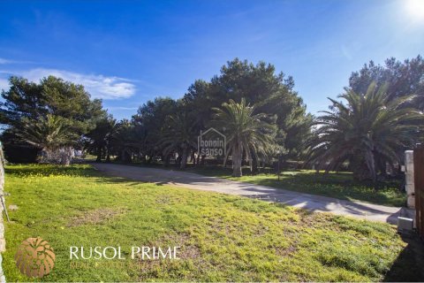 Villa à vendre Ciutadella De Menorca, Menorca, Espagne, 7 chambres, 452 m2 No. 10562 - photo 4