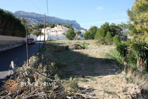 Land plot à vendre à Calpe, Alicante, Espagne, 1840 m2 No. 39367 - photo 6