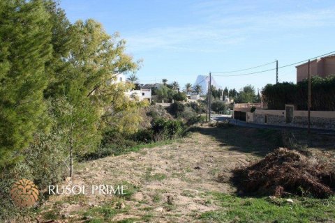 Land plot à vendre à Calpe, Alicante, Espagne, 1840 m2 No. 39367 - photo 3