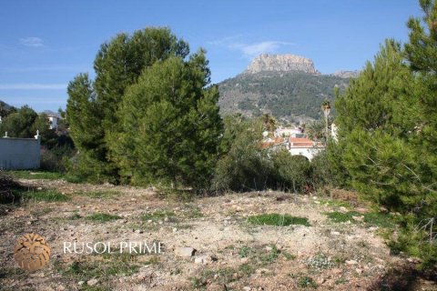 Land plot à vendre à Calpe, Alicante, Espagne, 1840 m2 No. 39367 - photo 2