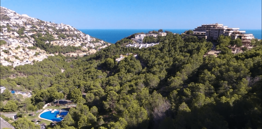 Land plot à Altea, Alicante, Espagne 3400 m2 No. 39549