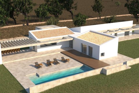Land plot à vendre à Pollenca, Mallorca, Espagne, 25000 m2 No. 47374 - photo 1