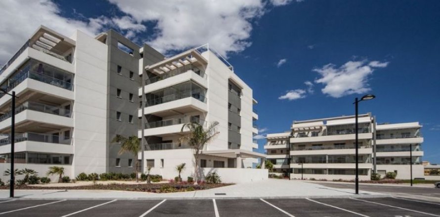 Penthouse à Villamartin, Alicante, Espagne 2 chambres, 74 m2 No. 43855