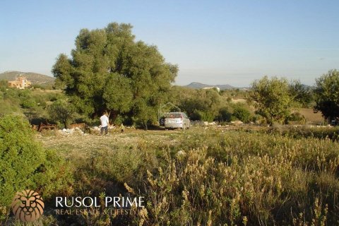 Land plot à vendre à Sant Llorenc Des Cardassar, Mallorca, Espagne, 480 m2 No. 47145 - photo 2