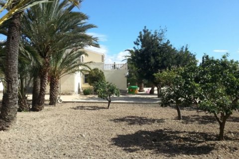 Villa à vendre Alicante, Espagne, 6 chambres, 450 m2 No. 45369 - photo 7