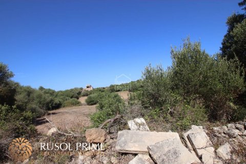 Land plot à vendre à Alaior, Menorca, Espagne, 779 m2 No. 46956 - photo 10