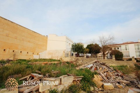 Land plot à vendre à Alaior, Menorca, Espagne, 2828 m2 No. 47094 - photo 10