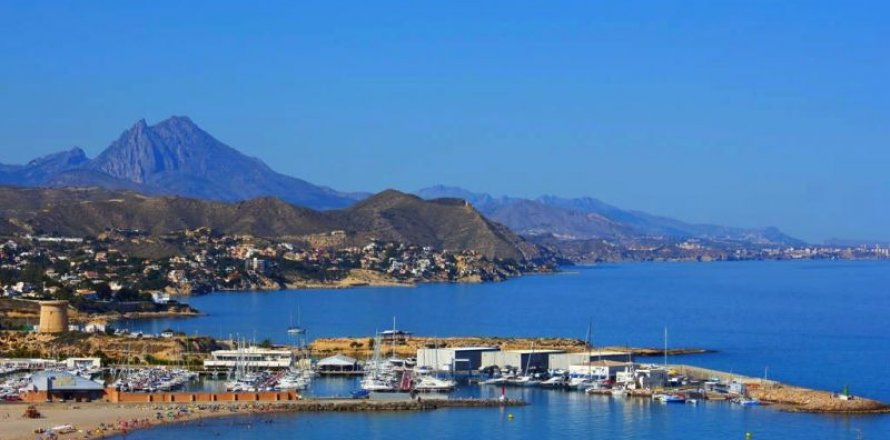 Hotel El Campello, Alicante, Espagne 101 chambre, 7.49 m2 No. 44625