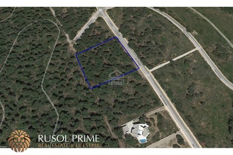 Land plot à vendre Es Mercadal, Menorca, Espagne, 4850 m2 No. 46946 - photo 3