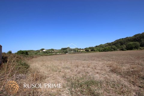 Land plot à vendre à Alaior, Menorca, Espagne, 779 m2 No. 46956 - photo 4
