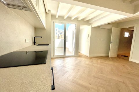 Penthouse à vendre à Palma de Majorca, Mallorca, Espagne, 2 chambres, 60 m2 No. 41284 - photo 2