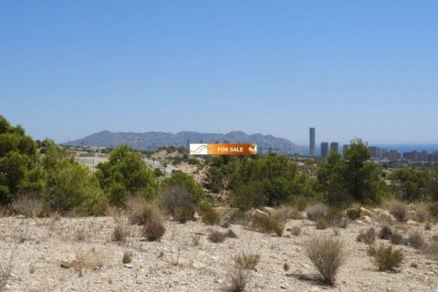 Land plot à vendre à Finestrat, Alicante, EspagneNo. 45091 - photo 6