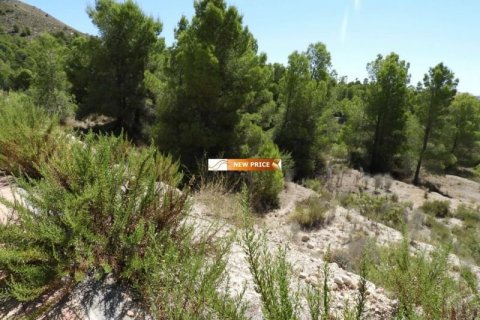 Land plot à vendre à Finestrat, Alicante, EspagneNo. 45079 - photo 6