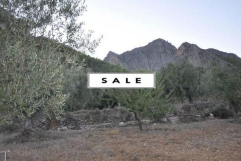 Land plot à vendre à Polop, Alicante, EspagneNo. 45897 - photo 8