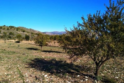 Land plot à vendre à Villajoyosa, Alicante, EspagneNo. 42607 - photo 2