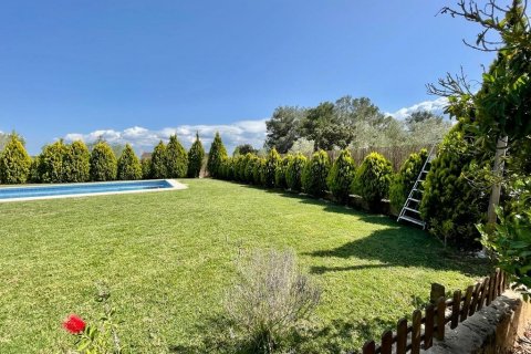 Finca à vendre à Llubi, Mallorca, Espagne, 4 chambres, 245 m2 No. 46777 - photo 5