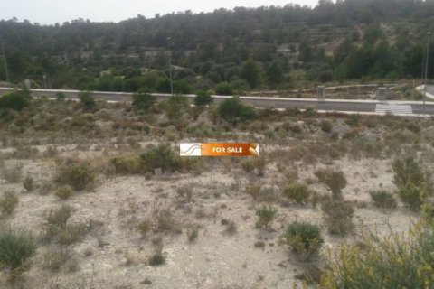 Land plot à vendre à Finestrat, Alicante, EspagneNo. 45080 - photo 7