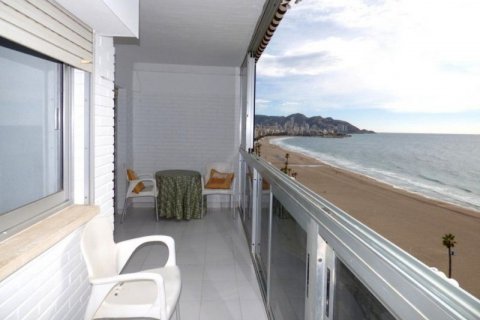Penthouse à vendre à Benidorm, Alicante, Espagne, 3 chambres, 92 m2 No. 44559 - photo 7