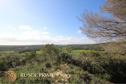 Land plot à vendre à Mahon, Menorca, Espagne, 4 chambres, 200 m2 No. 47002 - photo 3