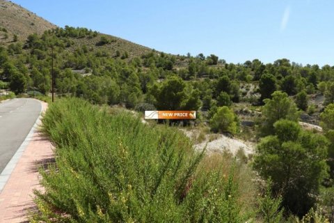 Land plot à vendre à Finestrat, Alicante, EspagneNo. 45079 - photo 5