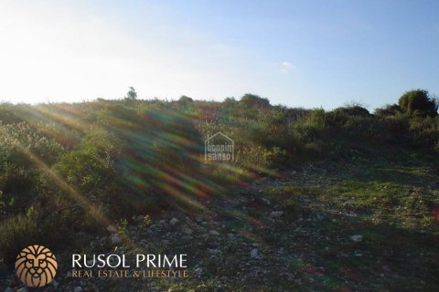 Land plot à vendre à Sant Llorenc Des Cardassar, Mallorca, Espagne, 480 m2 No. 47145 - photo 6