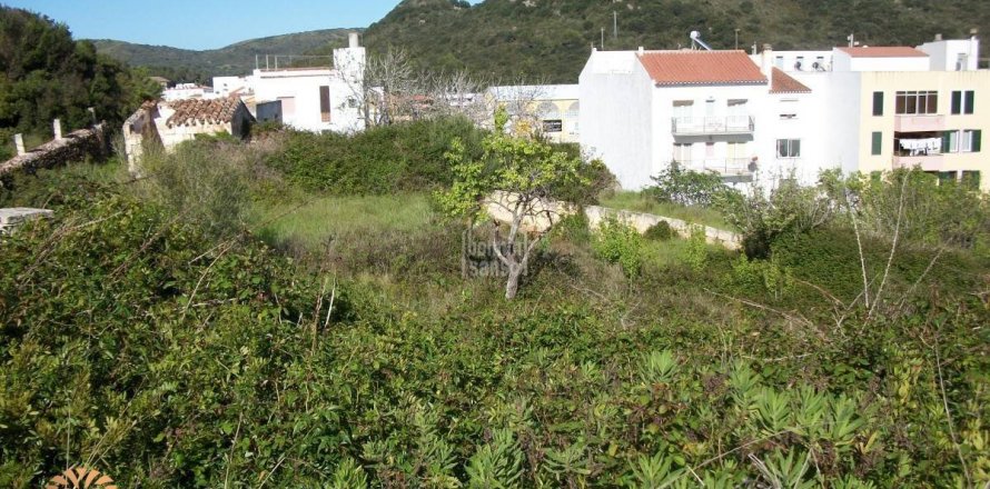 Land plot à Ferreries, Menorca, Espagne No. 46962