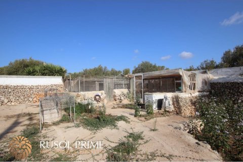 Land plot à vendre à Mahon, Menorca, Espagne, 2700 m2 No. 47052 - photo 3