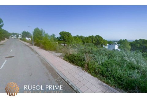 Land plot à vendre à Es Mercadal, Menorca, EspagneNo. 46911 - photo 3
