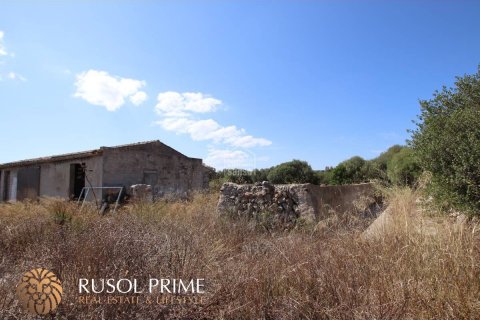 Land plot à vendre à Alaior, Menorca, Espagne, 779 m2 No. 46956 - photo 2