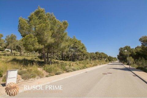 Land plot à vendre à Es Mercadal, Menorca, Espagne, 2040 m2 No. 46906 - photo 5