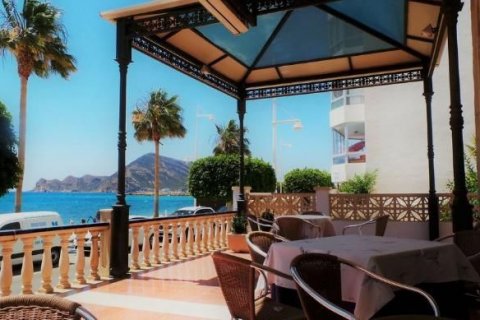 Hotel à vendre à Altea, Alicante, Espagne, 24 chambres, 1632 m2 No. 46685 - photo 3