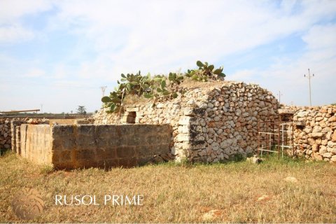 Land plot à vendre à Ciutadella De Menorca, Menorca, Espagne, 32791 m2 No. 46881 - photo 5