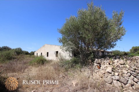 Land plot à vendre à Alaior, Menorca, Espagne, 779 m2 No. 46956 - photo 1
