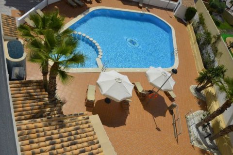Hotel à vendre El Campello, Alicante, Espagne, 101 chambre, 7.49 m2 No. 44625 - photo 3