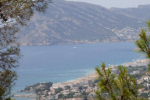 Land plot à vendre Altea, Alicante, EspagneNo. 44571 - photo 1