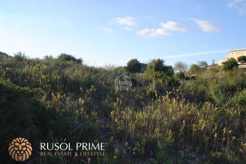 Land plot à vendre à Sant Llorenc Des Cardassar, Mallorca, Espagne, 480 m2 No. 47145 - photo 3