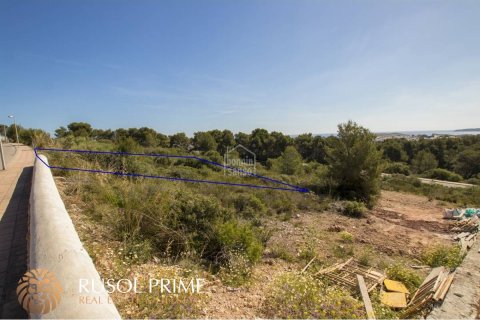 Land plot à vendre à Es Mercadal, Menorca, EspagneNo. 46910 - photo 4