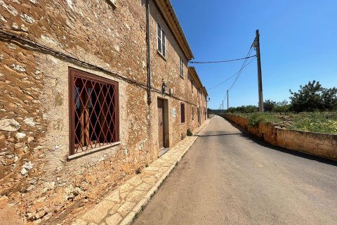 Villa à vendre à Santa Maria Del Cami, Mallorca, Espagne, 4 chambres, 236 m2 No. 48089 - photo 17