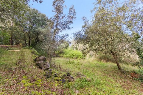 Finca à vendre à Pollenca, Mallorca, Espagne, 3 chambres, 187 m2 No. 47801 - photo 7