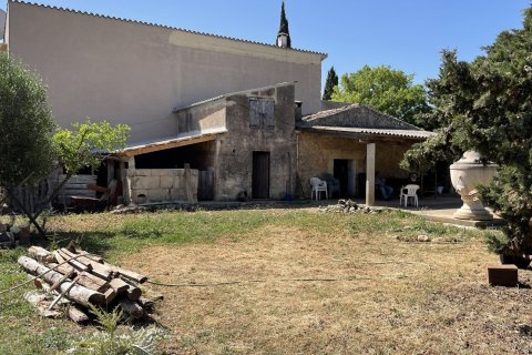 Land plot à vendre à Pollenca, Mallorca, Espagne, 25000 m2 No. 47374 - photo 19