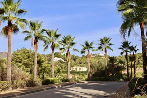 Marbella Club Hills Benahavis, Malaga, Espagne No. 50353 - photo 9