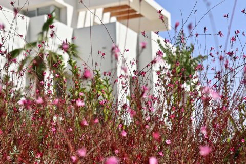 Marbella Club Hills Benahavis, Malaga, Espagne No. 50353 - photo 12