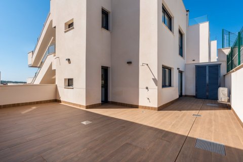 Bungalow à vendre San Miguel de Salinas, Alicante, Espagne, 3 chambres, 92 m2 No. 49754 - photo 25