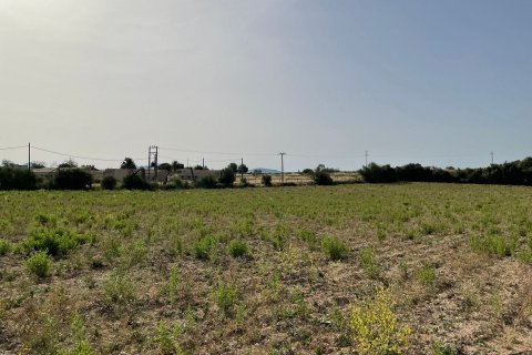 Land plot à vendre à Maria De La Salut, Mallorca, Espagne, 1 chambre, 28000 m2 No. 50430 - photo 3