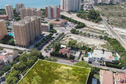 Land plot à vendre à San Juan, Alicante, Espagne, 1280 m2 No. 50696 - photo 4