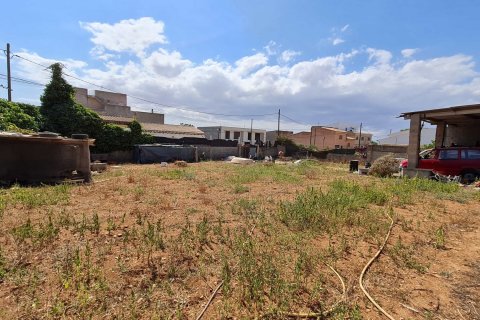 Land plot à vendre à Felanitx, Mallorca, Espagne, 842 m2 No. 50548 - photo 1