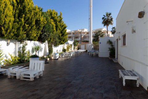 Commercial property à vendre à Denia, Alicante, Espagne, 1 chambre, 900 m2 No. 50137 - photo 1