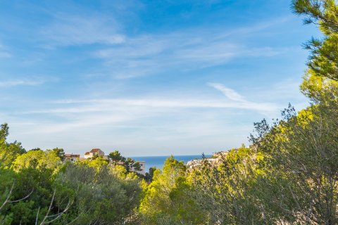 Land plot à vendre à Port D'andratx, Mallorca, Espagne, 1022 m2 No. 51308 - photo 3