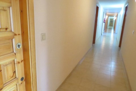 Apartment à louer Salou, Tarragona, Espagne, 1 chambre, 42 m2 No. 53625 - photo 17